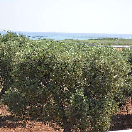 Le Terrazze Miramare B&B Torre Canne Eksteriør billede